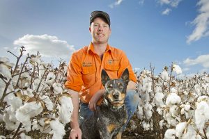 IREC and the cotton industry